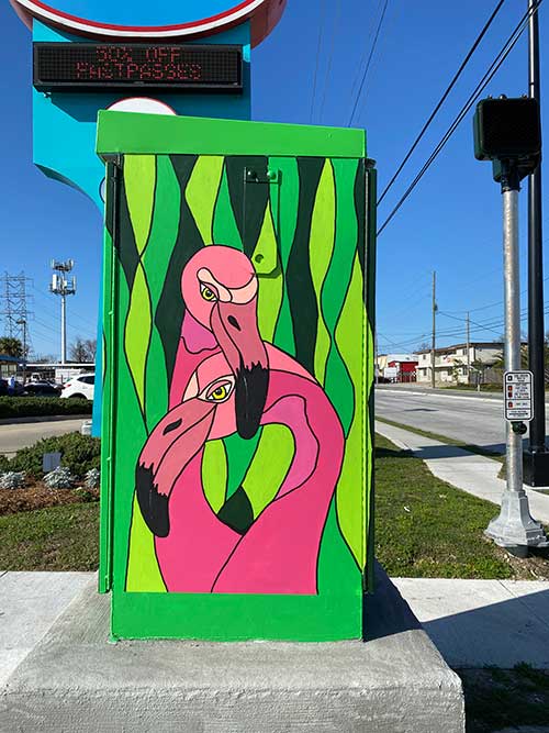 Pink Oyster