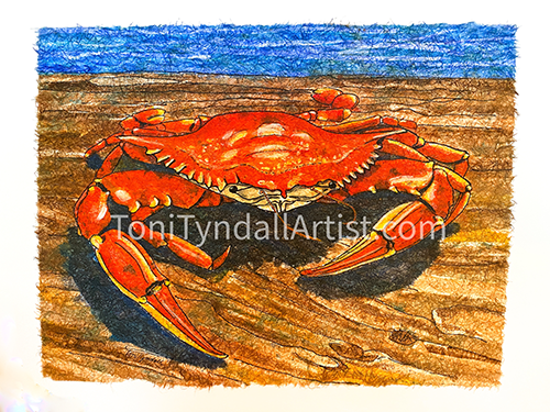 Crab